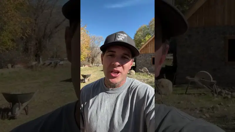 Original video cover: Live highlight