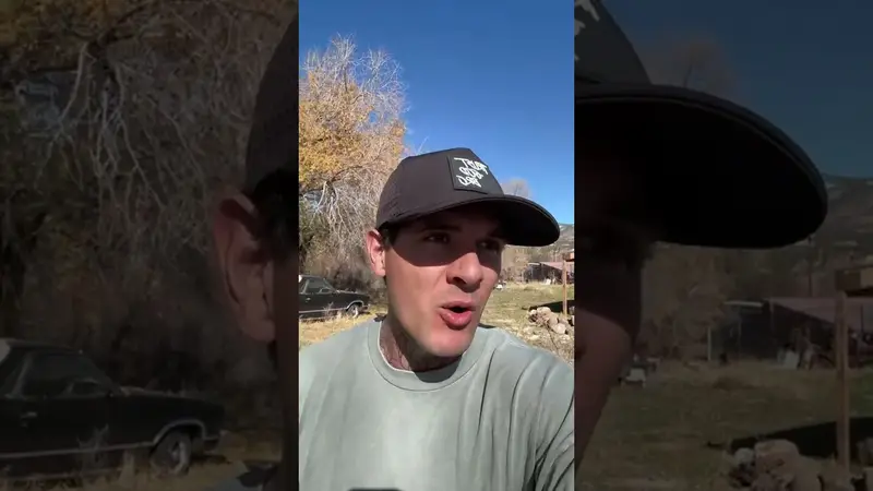 Original video cover: Live highlight