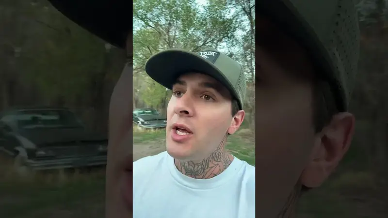 Original video cover: The warfare is wild
